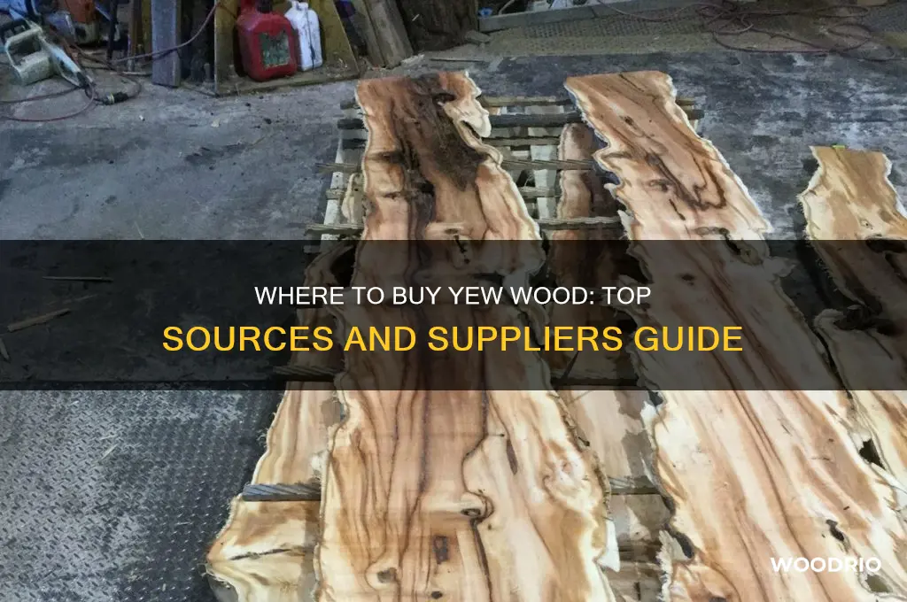 where can i buy yew wood
