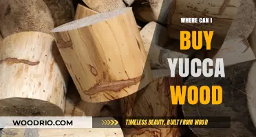 Where to Buy Yucca Wood: Top Sources and Tips for Purchase