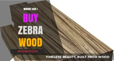 Where to Buy Zebra Wood: Top Sources and Tips for Purchase
