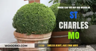 Best Nurseries to Buy Boxwoods in St. Charles, MO