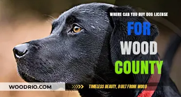 Where to Purchase Wood County Dog Licenses: A Complete Guide
