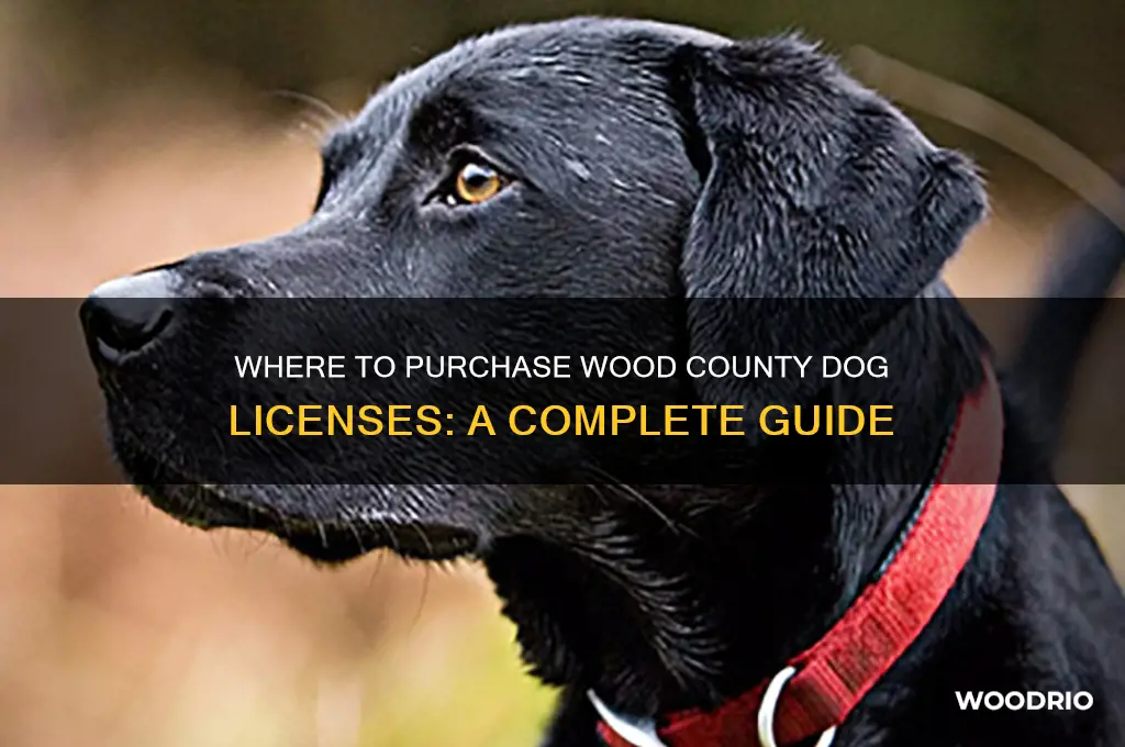 where can you buy dog license for wood county
