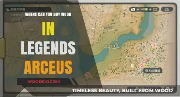 Where to Buy Wood in Pokémon Legends: Arceus - A Guide