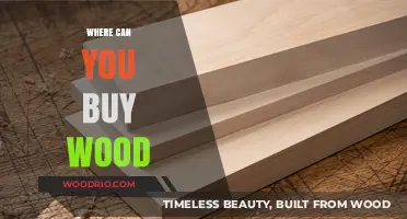 Top Places to Purchase Quality Wood for Your Next Project