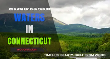 Discover Maine Woods and Waters: Connecticut's Best Retailers and Sources
