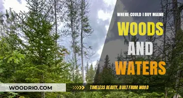 Discover Maine's Woods and Waters: Top Buying Destinations and Tips
