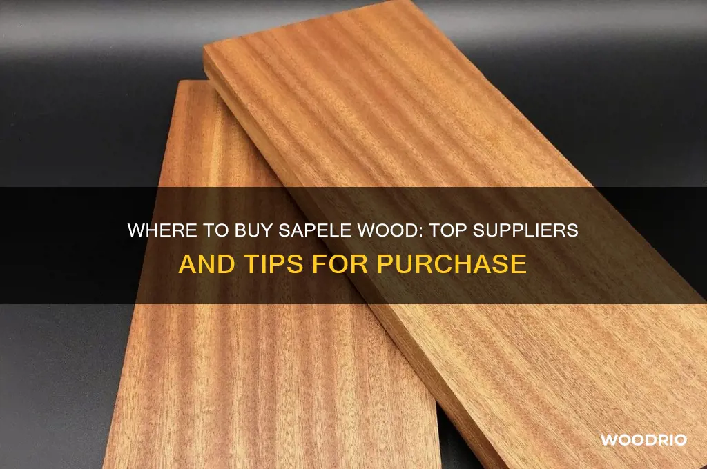 where do i buy sapele wood