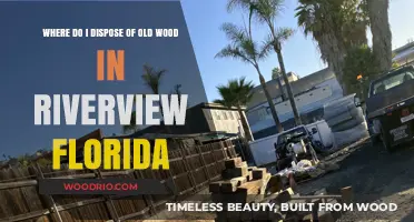 Eco-Friendly Wood Disposal Options in Riverview, Florida: A Guide