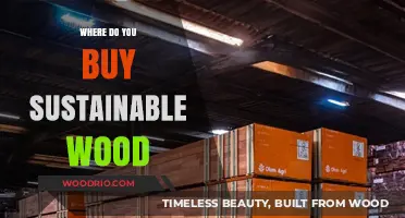 Eco-Friendly Choices: Where to Buy Sustainable Wood Responsibly