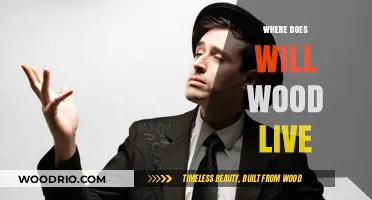 Exploring the Hometown Roots of Will Wood: A Journey Through His Origins