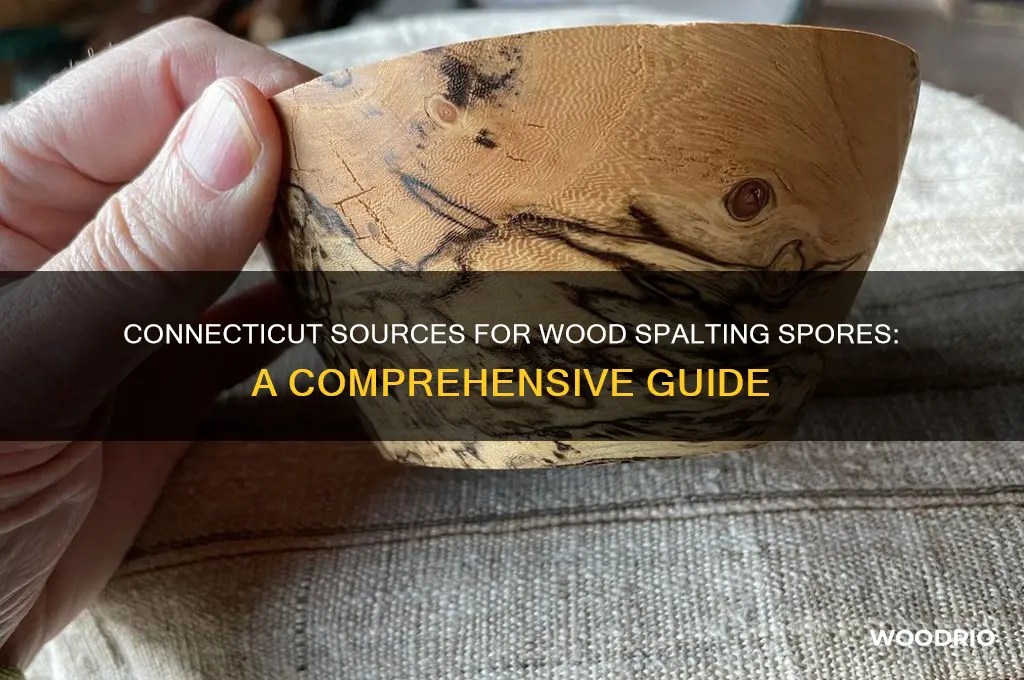 where in ct can you buy spores for spalting wood