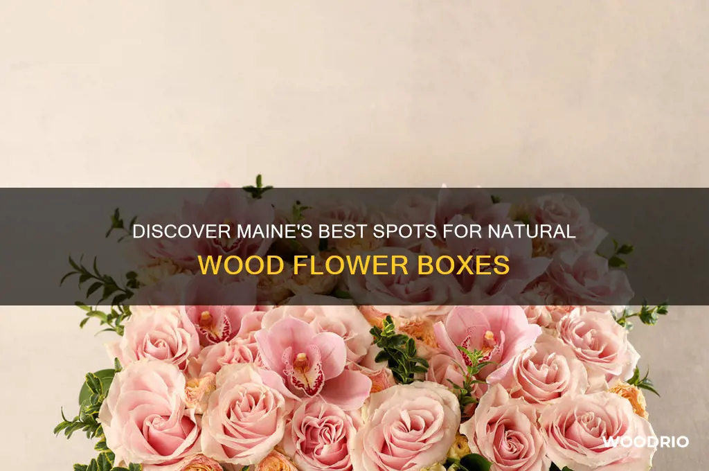where in maine can i buy natural wood flower boxes