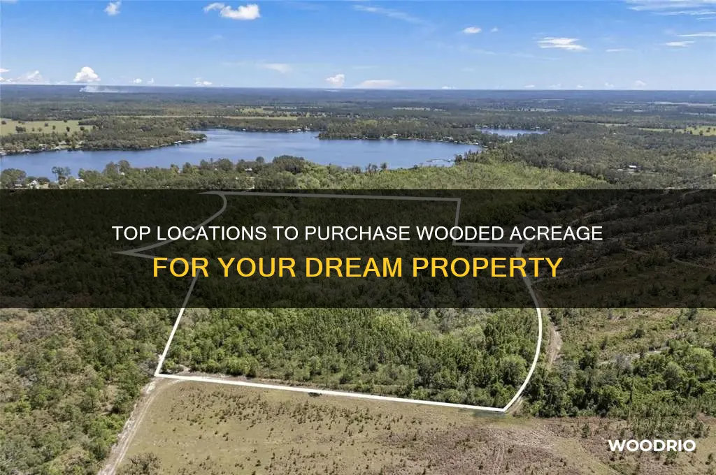 where is the best place to buy wooded acreage