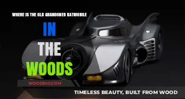 Uncovering the Mystery: Old Abandoned Batmobile Hidden in the Woods