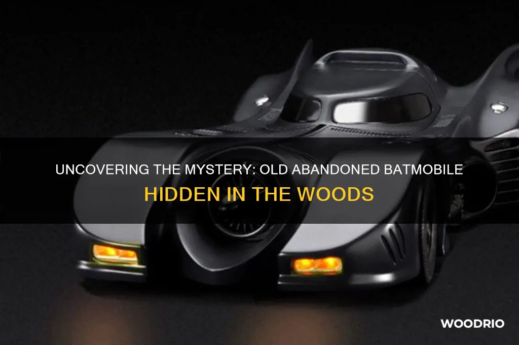 where is the old abandoned batmobile in the woods