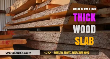 Best Places to Purchase 3-Inch Thick Wood Slabs for Projects
