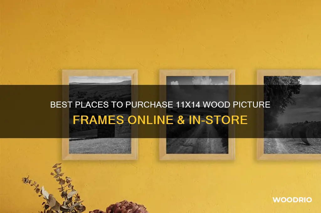 where to buy a 11x14 wood picture frame
