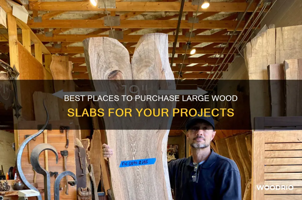 where to buy a big slab of wood