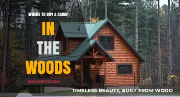 Discover the Perfect Cabin in the Woods: Top Buying Locations