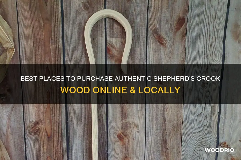 where to buy a shepherd