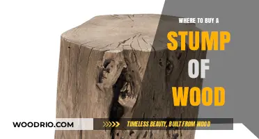 Where to Find and Buy a Stump of Wood: A Comprehensive Guide