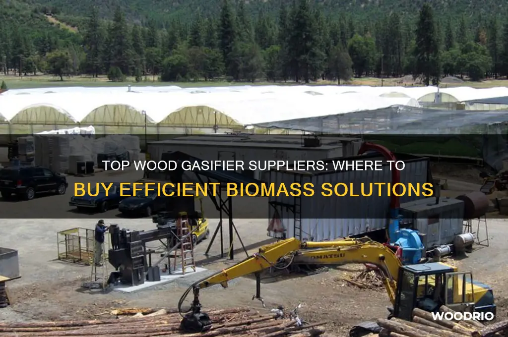 where to buy a wood gasifier