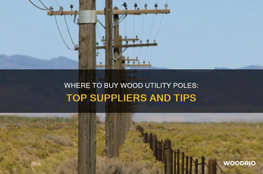 where to buy a wood utility pole
