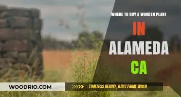 Discover Top Spots to Buy Wooden Planters in Alameda, CA