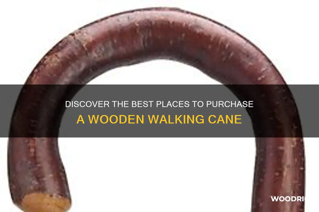 where to buy a wooden walking cane