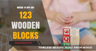 Best Places to Purchase ABC 123 Wooden Blocks for Kids