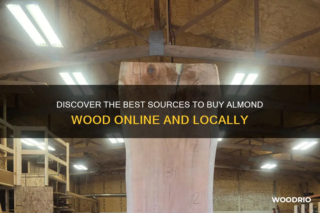 where to buy almond wood