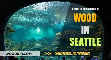 Top Spots to Buy Aquarium Wood in Seattle: A Guide