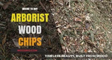 Top Sources for Quality Arborist Wood Chips: A Buyer's Guide
