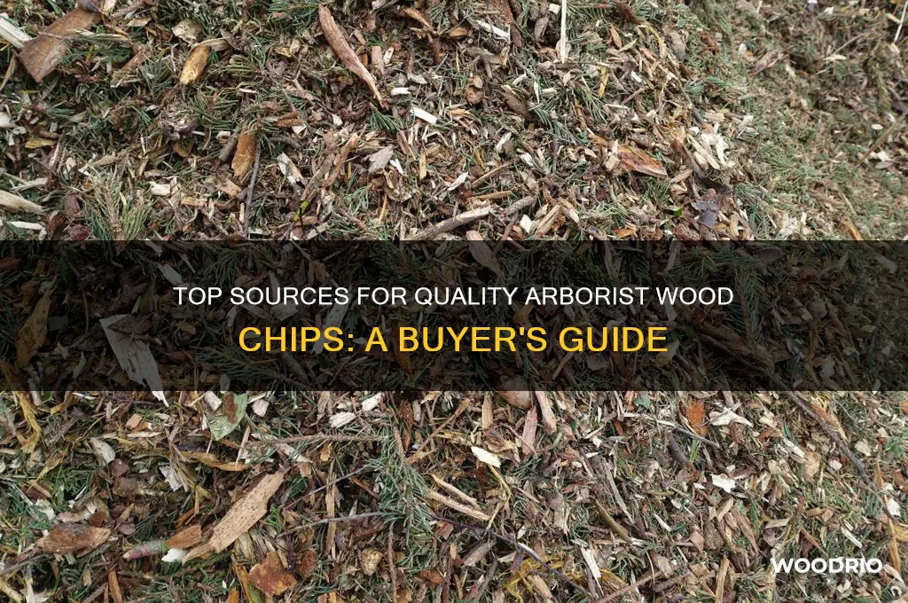 where to buy arborist wood chips