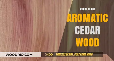Discover Top Sources for Authentic Aromatic Cedar Wood Purchases