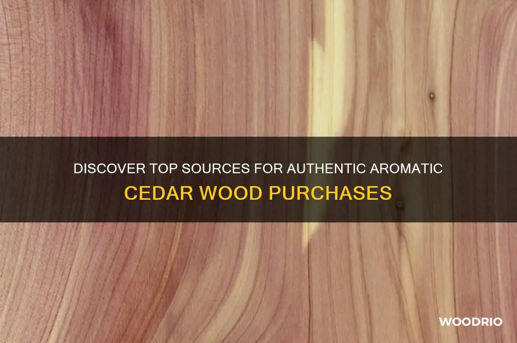 where to buy aromatic cedar wood