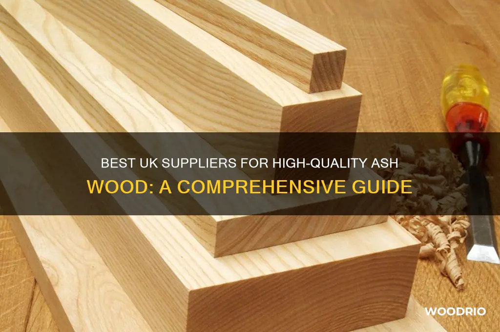 where to buy ash wood uk