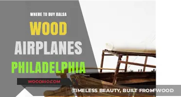 Best Spots to Buy Balsa Wood Airplanes in Philadelphia