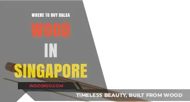 Best Places to Buy Balsa Wood in Singapore for Crafting