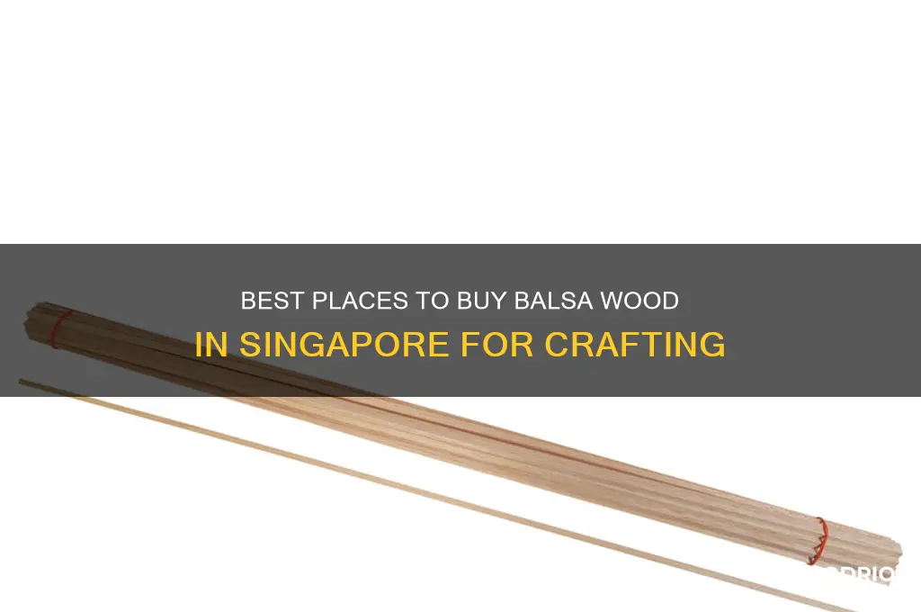 where to buy balsa wood in singapore