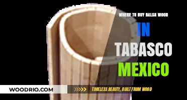 Where to Find Balsa Wood in Tabasco, Mexico: Top Suppliers