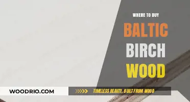 Best Places to Purchase High-Quality Baltic Birch Wood Online & Locally