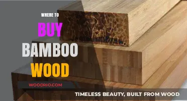 Best Places to Purchase High-Quality Bamboo Wood for Your Projects