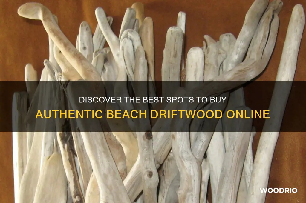 where to buy beach drift wood