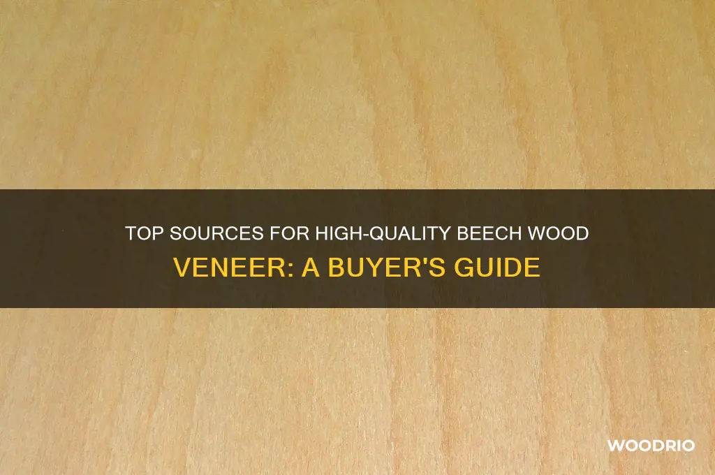 where to buy beech wood veneer