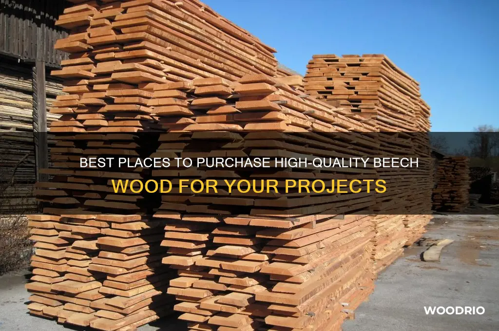 where to buy beech wood