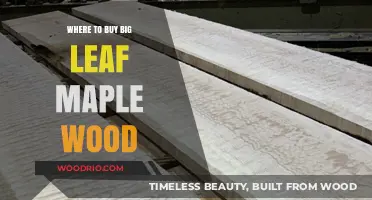 Best Sources to Purchase High-Quality Big Leaf Maple Wood