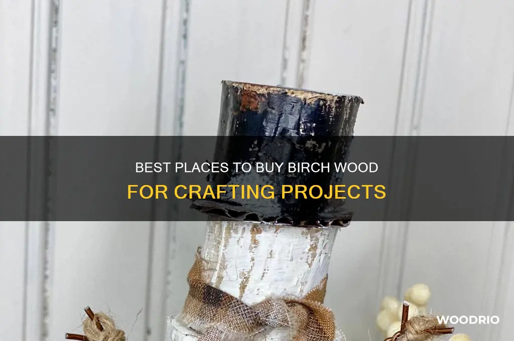 where to buy birch wood for crafts