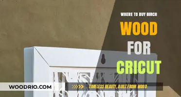 Best Places to Buy Birch Wood for Cricut Crafting Projects