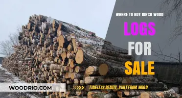 Best Places to Buy High-Quality Birch Wood Logs for Sale